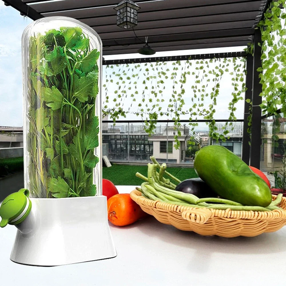 Herb Saver Storage Container V - Herb Keeper Bottle review and price