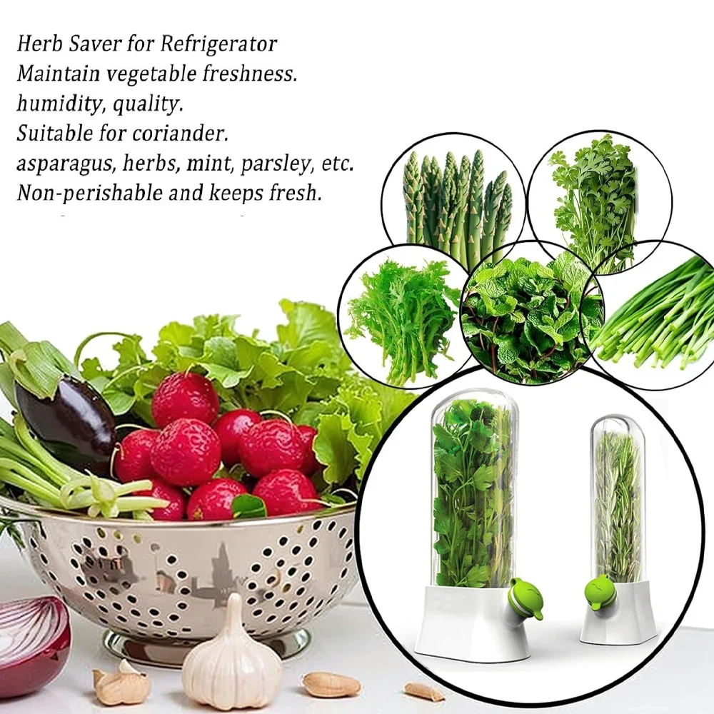 Herb Saver Storage Container V - Herb Keeper Bottle review and price