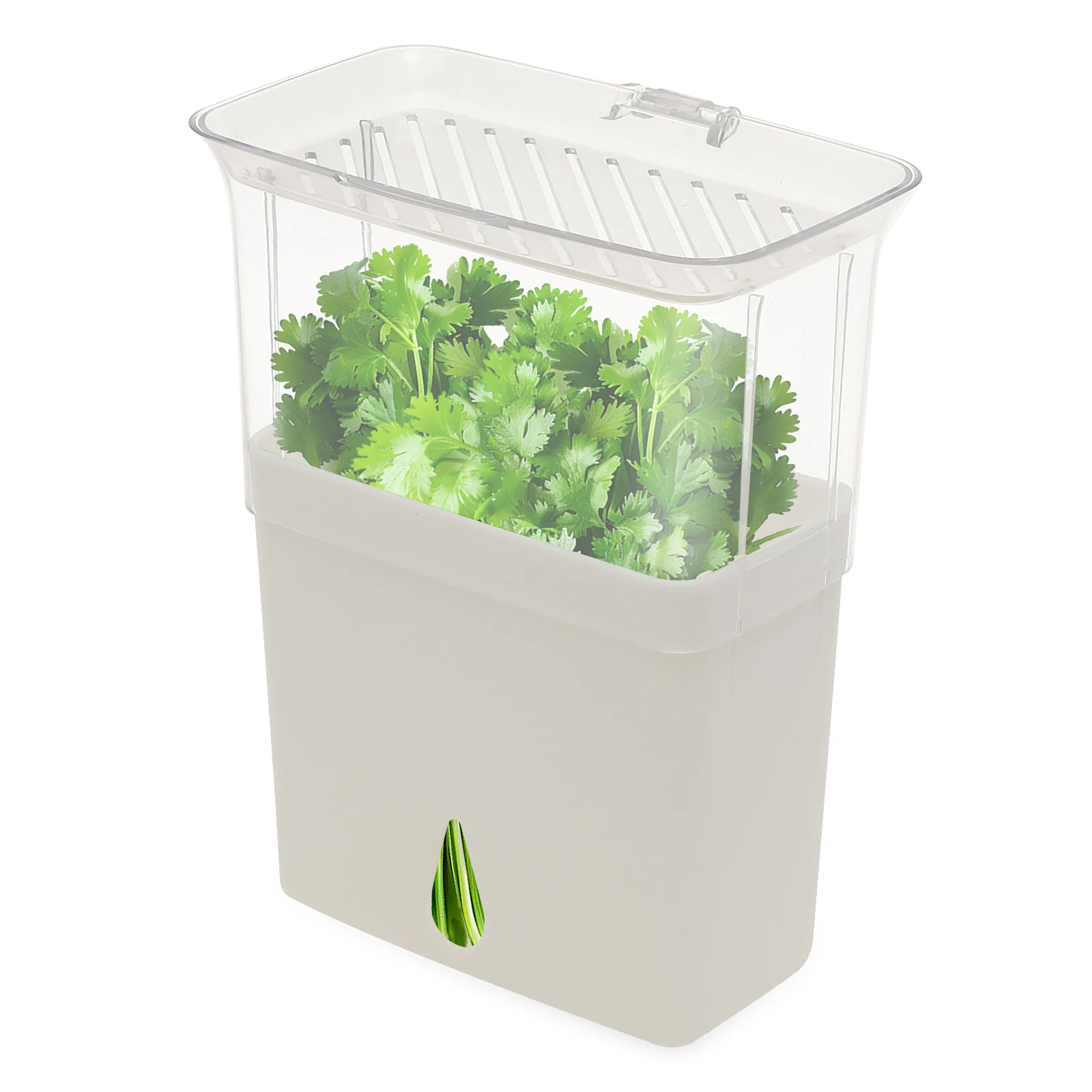 Clear Herb Saver Storage Conta - Herb Keeper Bottle review and price