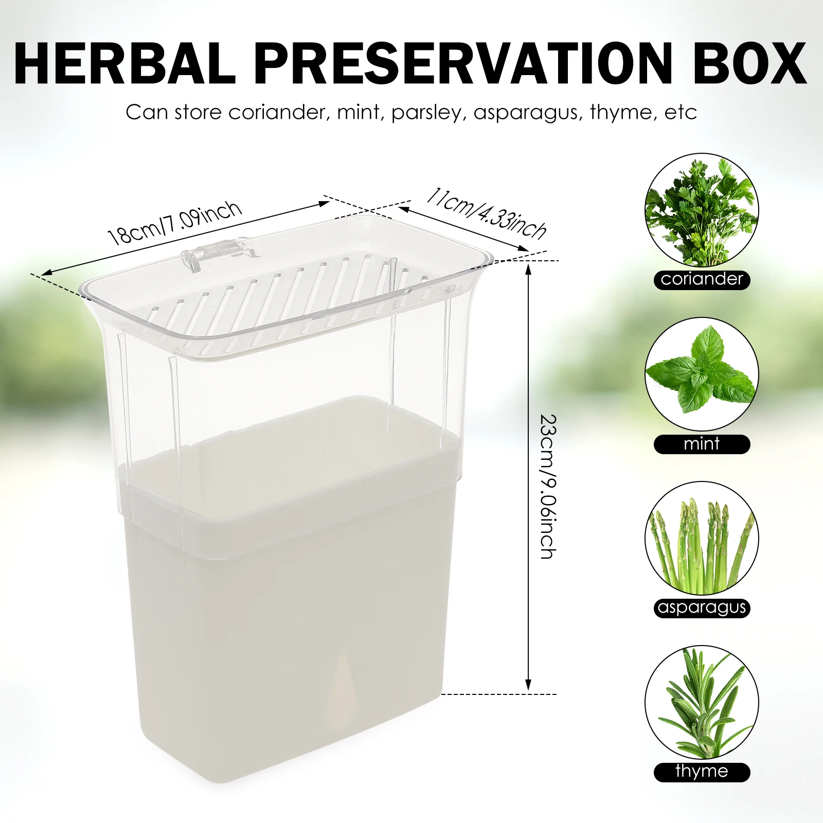 Clear Herb Saver Storage Conta - Herb Keeper Bottle review and price