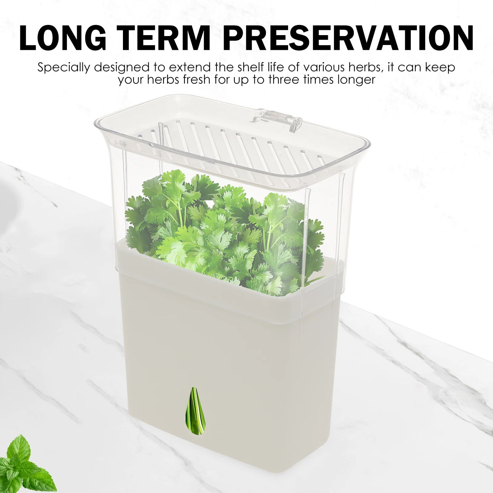 Clear Herb Saver Storage Conta - Herb Keeper Bottle review and price