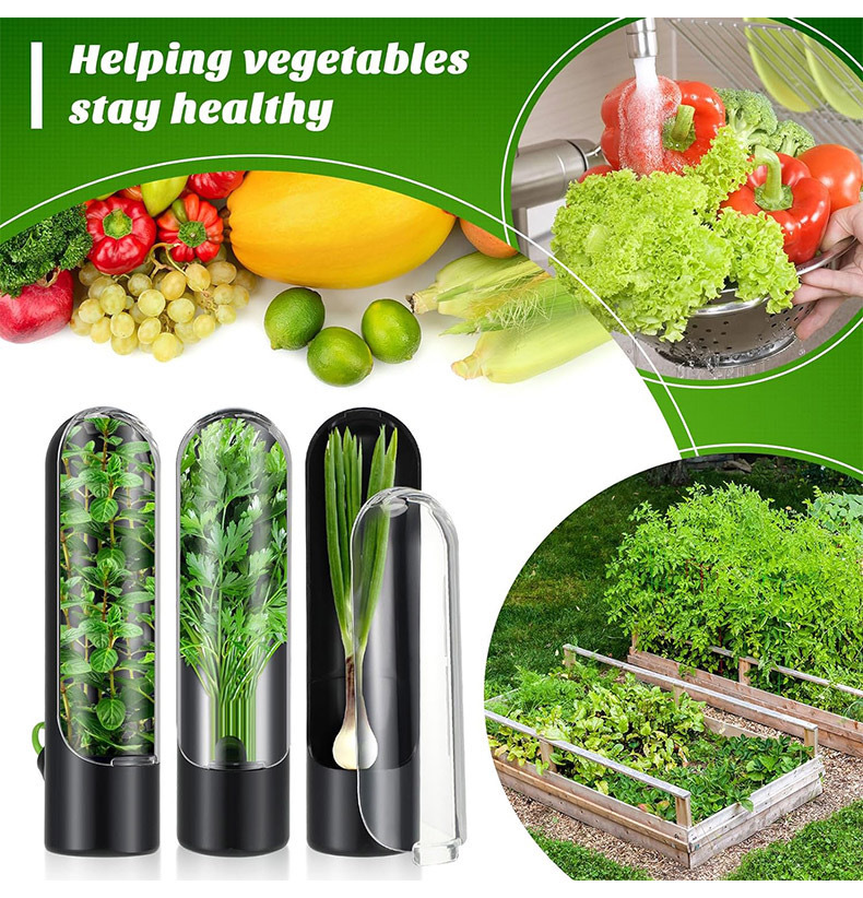 Vegetables Fresh Preservation  - Herb Keeper Bottle review and price