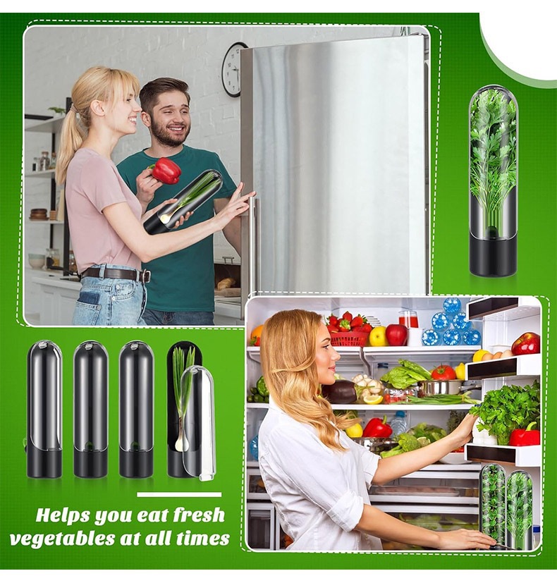Vegetables Fresh Preservation  - Herb Keeper Bottle review and price